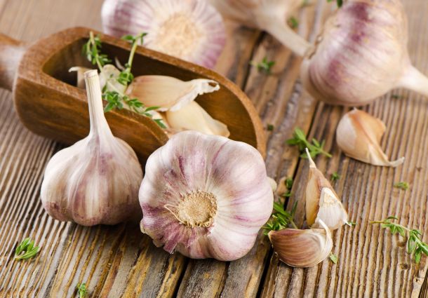 wp-content/uploads/2023/04/AdobeStock_72406874-1-scaled.jpeg